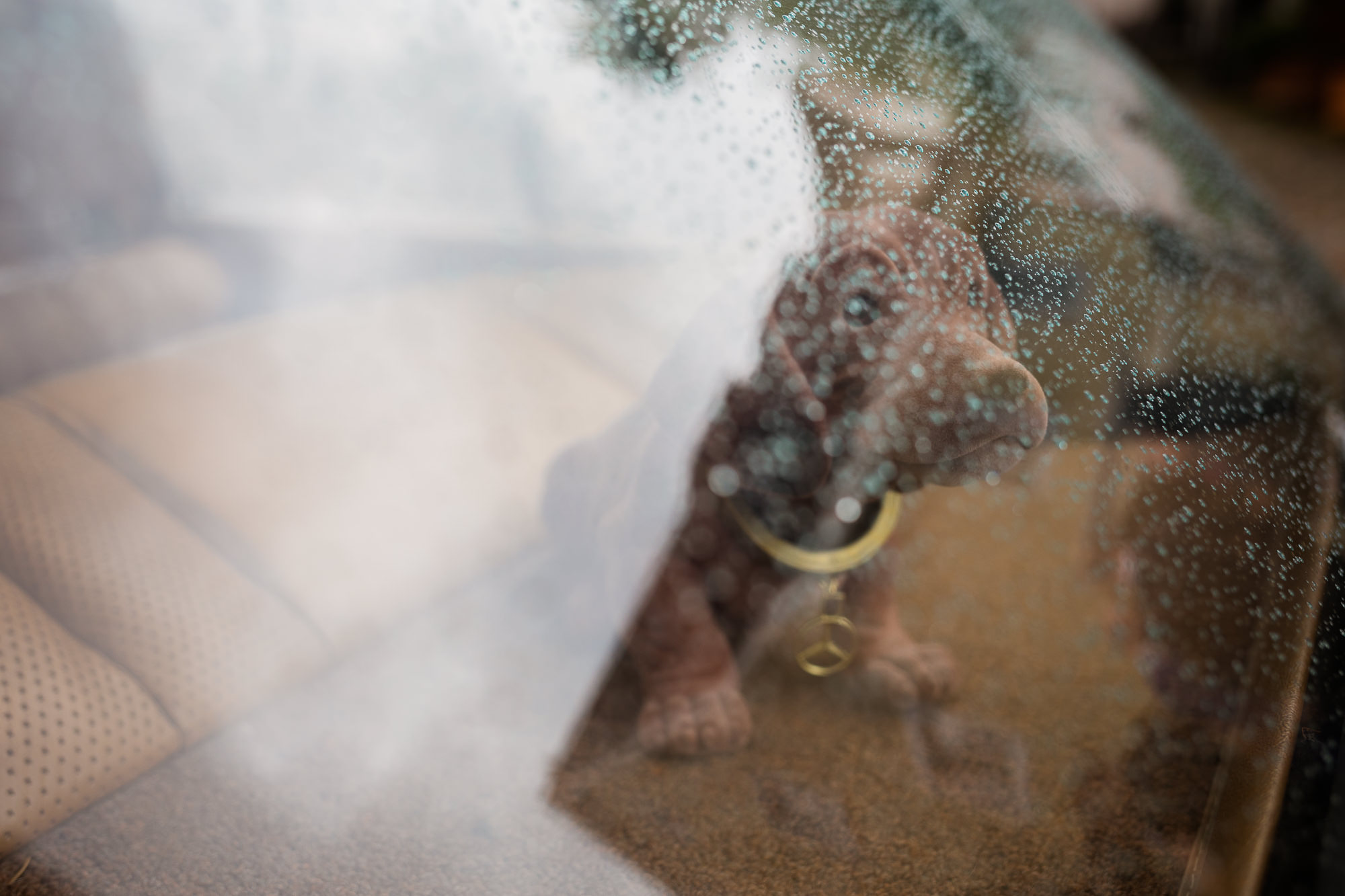 Export x3 5D4 3508 Hochzeit 2017 Vanessa & Patrick